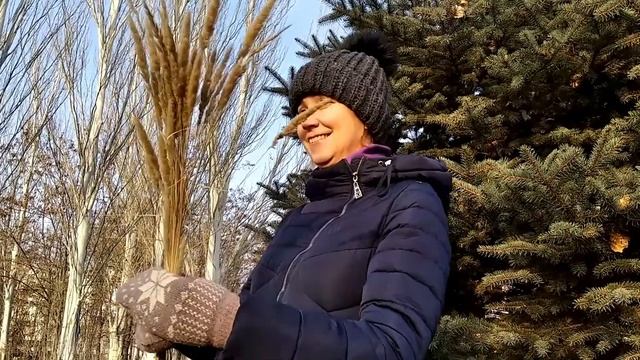 Сновым годом