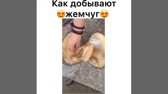 Cf0a9836469a2403aa1dd0f38a6581b5