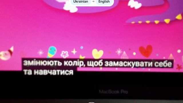 Google Translate App