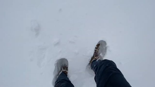 I FORGOT MY CAMERA!!! Shooting On An IPhone!