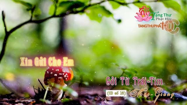 Gởi Từ Trái Tim - 12/13. Xin Gửi Cho Em ::: Mặc Giang Thi Ngâm CD Số 16