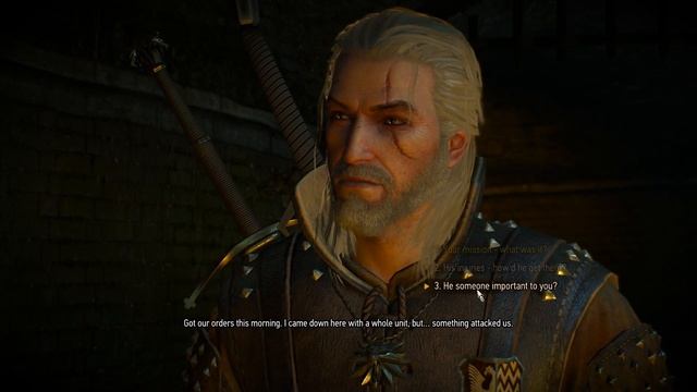 Error In THE WITCHER | HEARTS OF STONE | THE WITCHER 3 WILD HUNT GAMEPLAY PART-1