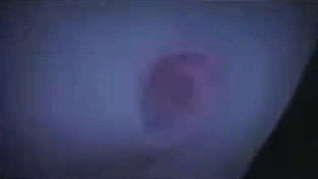 Pregnancy Stages - Child Birth Process For Your Muse