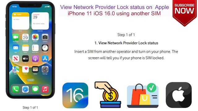 View Network Provider Lock Status On Apple IPhone 11 IOS 16 Using Another SIM