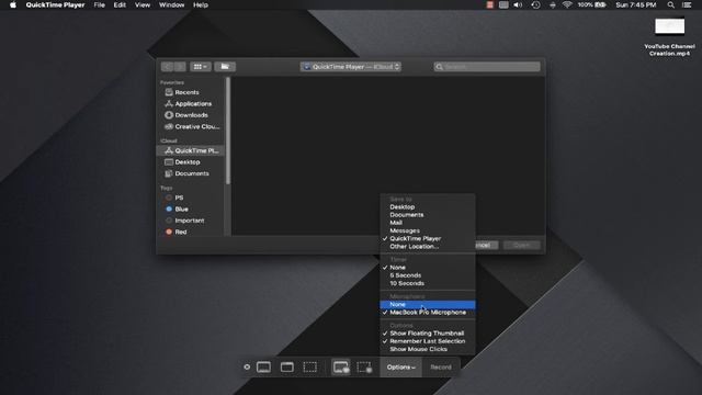 Recording Lessons - How To Make A Video Lecture From Any Computer