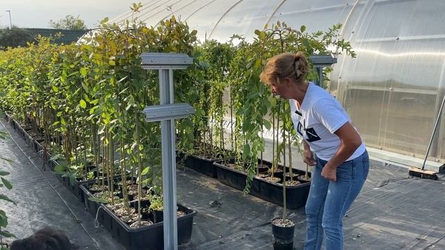 1ce30682d63a990c9b9e87696072ced9