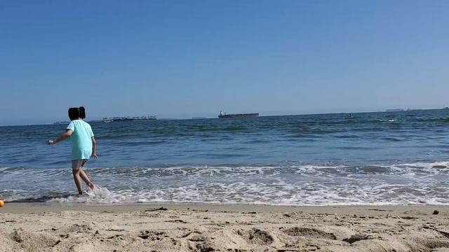 Watch Me Throw Apples Back In The Ocean As They Wash Ashore.....🍎🍎🍎