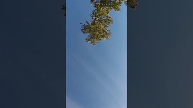 Inverted Orbit, Trippy Spin #FPV