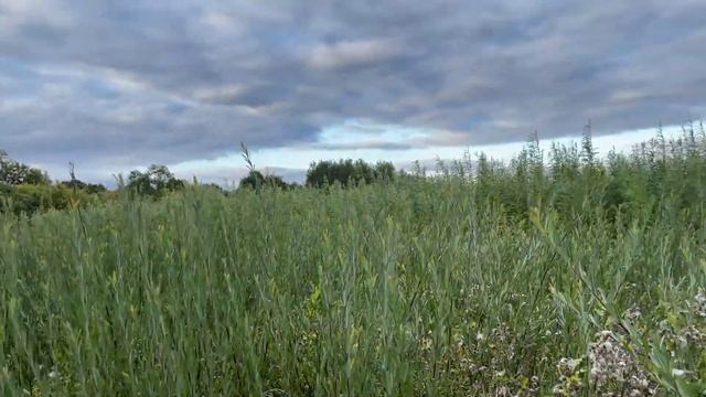 99a68e9608ad3c60f3d969987a6a1bb6