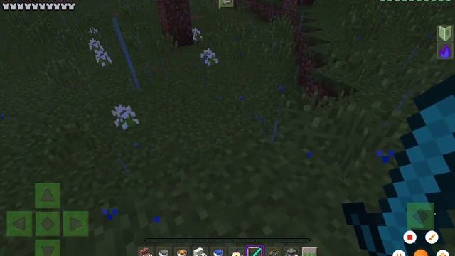 Pvp Vs Nik