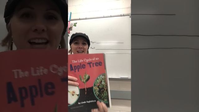 5/6 Life Cycle Of An Apple Tree