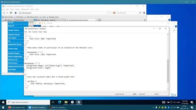 Pale Moon CSS Customization Demo