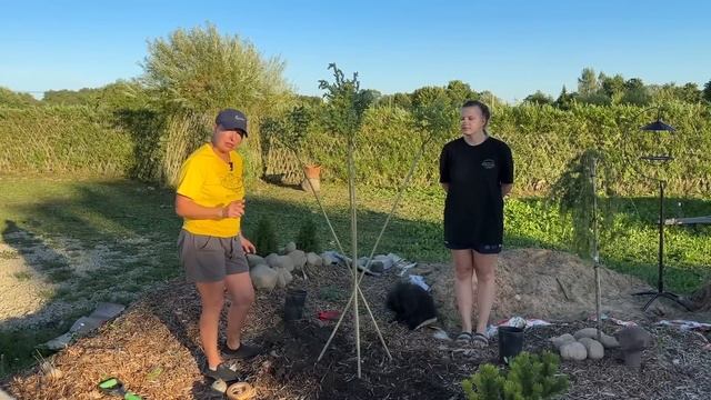 8df904c377884a47bd553536371b94a5