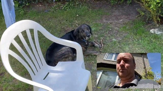 More Testing With The DoubeTake App For IOS