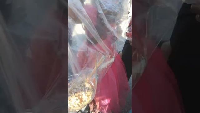 Candy Ash! We Got Carmel Apples Baby! FLORIDA IN THE HOUSE! NO ONE ELSE MATTERS! PERIOD! NUFF SAID!