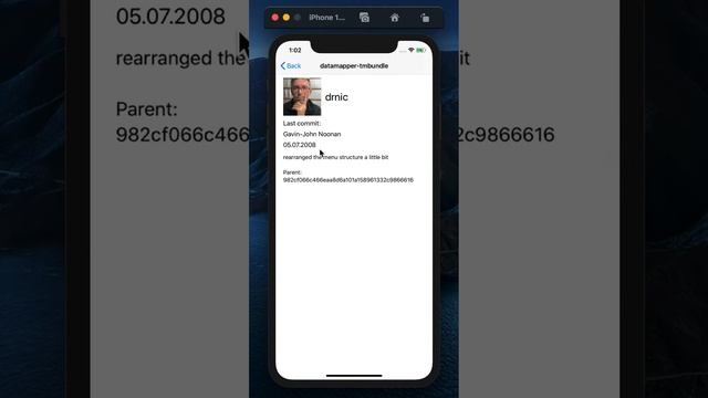 GitHub Public Repositories IOS App