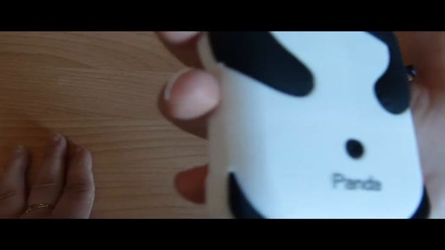 Чехол на IPhone 5/5s