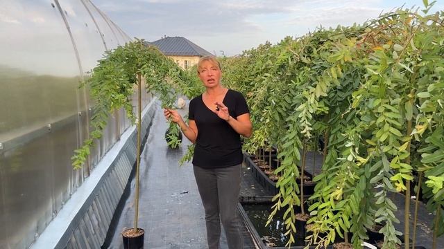 7668fcf4fc934fb3cf3cf74792bd6b5e