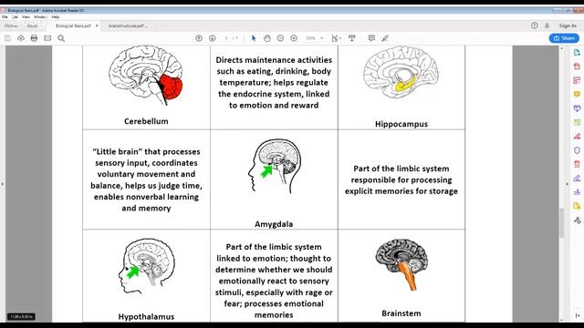 Final Review Part 2