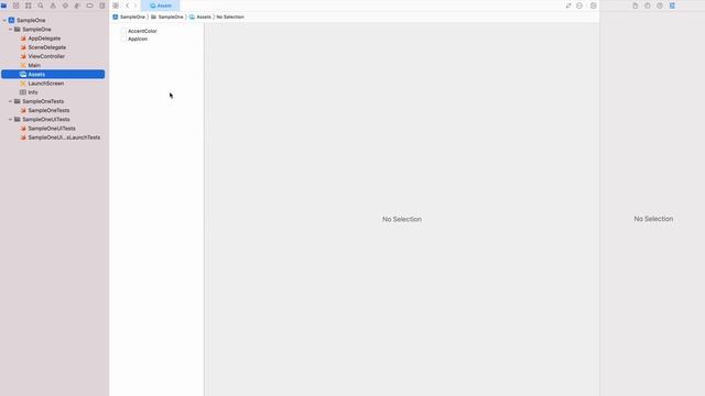 How To Create IOS App
