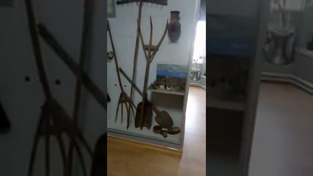 Бердянск,краеведческий музей,рассказ экскурсовода.