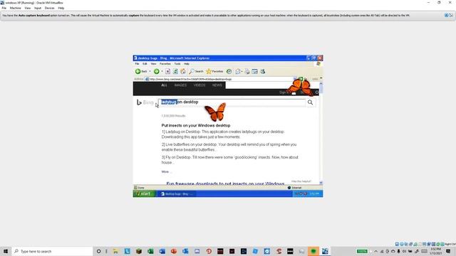DEYSTROYING WINDOWS XP WITH VIRUSES