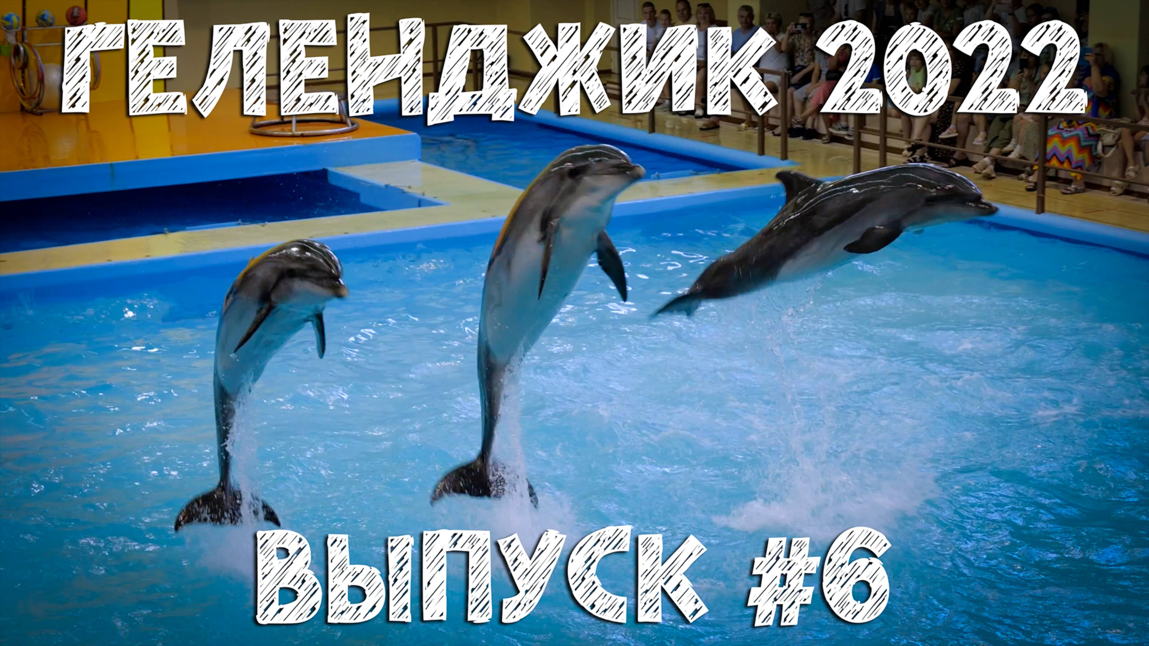 Геленджик 2022. Выпуск №6