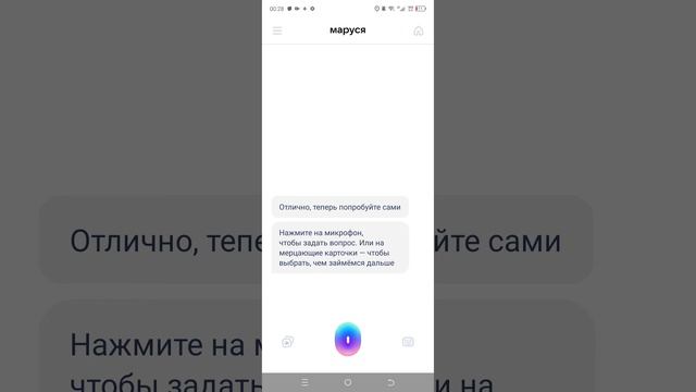 Советую приложение и жду Black Russia