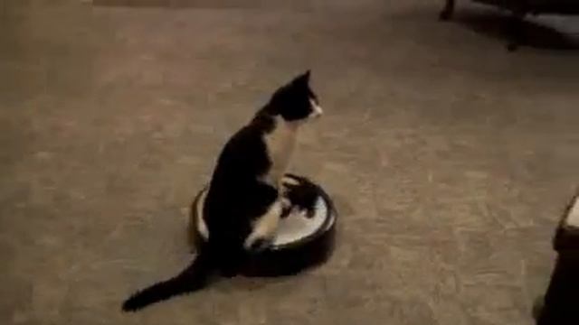 C569cb07583ae49608ee32441e49abdd