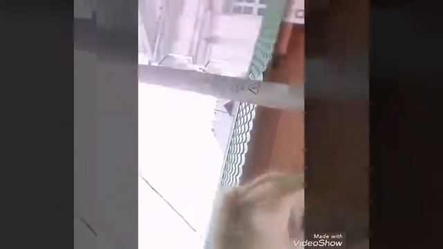 Идём закупаться в Fix Praise