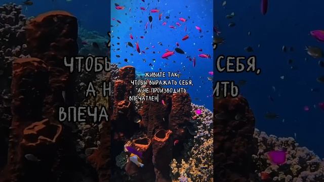 Выражай себя.mp4