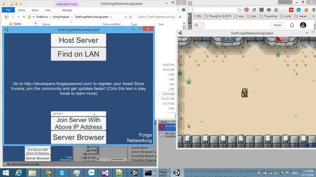 Forge Networking - TCP Not Work