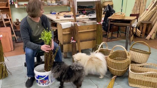 B18ecfa5f0dd77015a2bb4086e9b6ad7