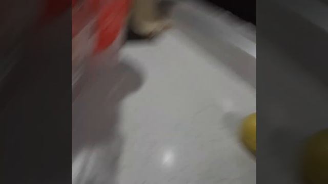 TRYING STRAWBERRY APPLE 🍓+🍎 (10X SWEETER THAN THE ORIGINAL APPLE)