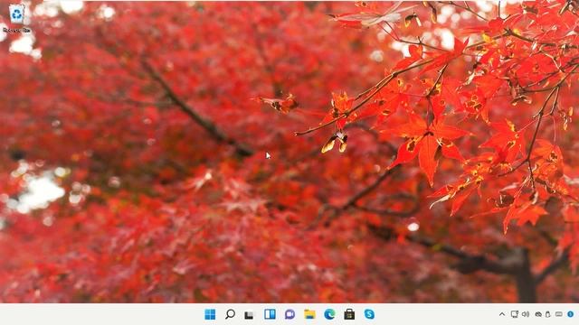 Windows 11'de Sarı Üçgen Ve İnternet Erişimi Yok Nasıl Onarılır