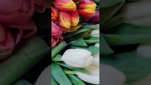 #8марта #детскийсадчелны #набережныечелны #радужныйдетскийсад #ясличелны #радужныйяслисад