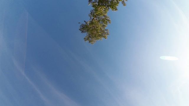 Inverted Orbit, Trippy Spin #FPV