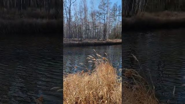 260c7db7a0b0935ff908bd62fbba493a