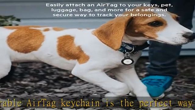 Belkin Apple AirTag Secure Holder With Key Ring - Durable Scratch Resistant Case With Open Face & R