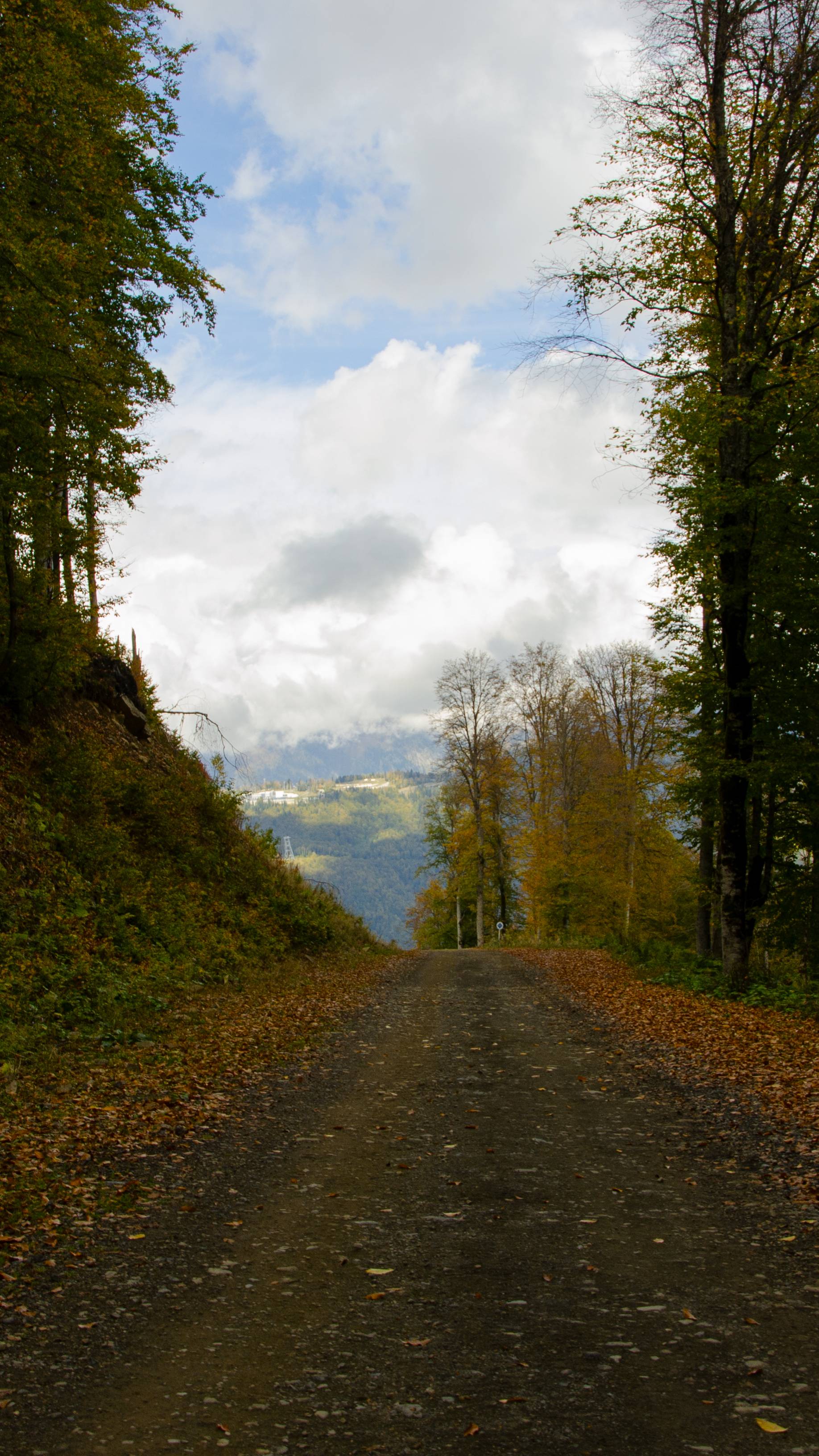 Поездка на Роза Хутор в октябре 2024