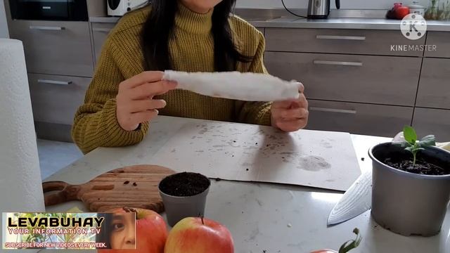 6436147006515472a06f8f4c8b543bcc