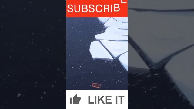 DayZ I DLC Fristline, а ты ждёшь выхода нового Dlc? #dayz #shorts   #streamer  #gaming #pvp