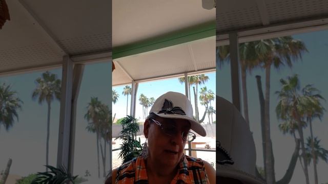 TEMU TREASURES PART II