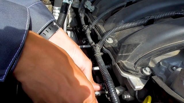 АвтоЭлектроБотаники