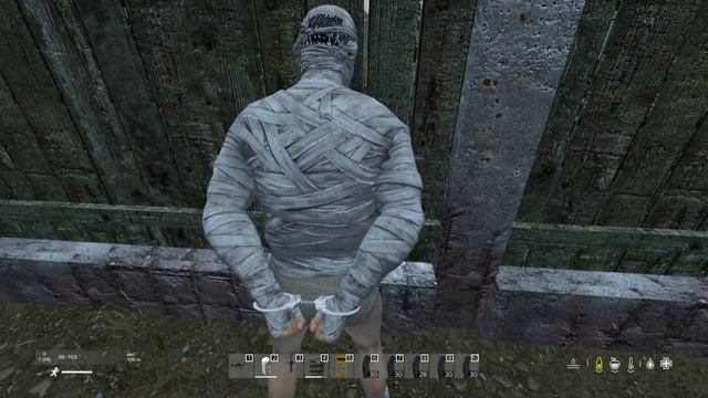 жмыхотрон 2.0 - DayZ STALKER ROLE PLAY