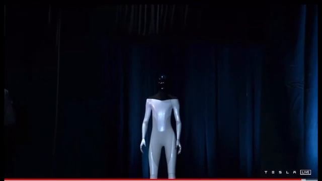 Tesla Bot