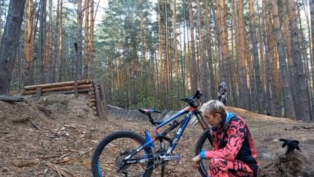 Байк-чек Bergamont Streitline 7.0