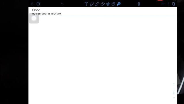 Good Notes 5 Vs Notability Comparison