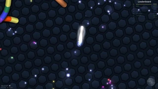 Snake (Slitherio) Just A Test Recording Using OBS And Linux.