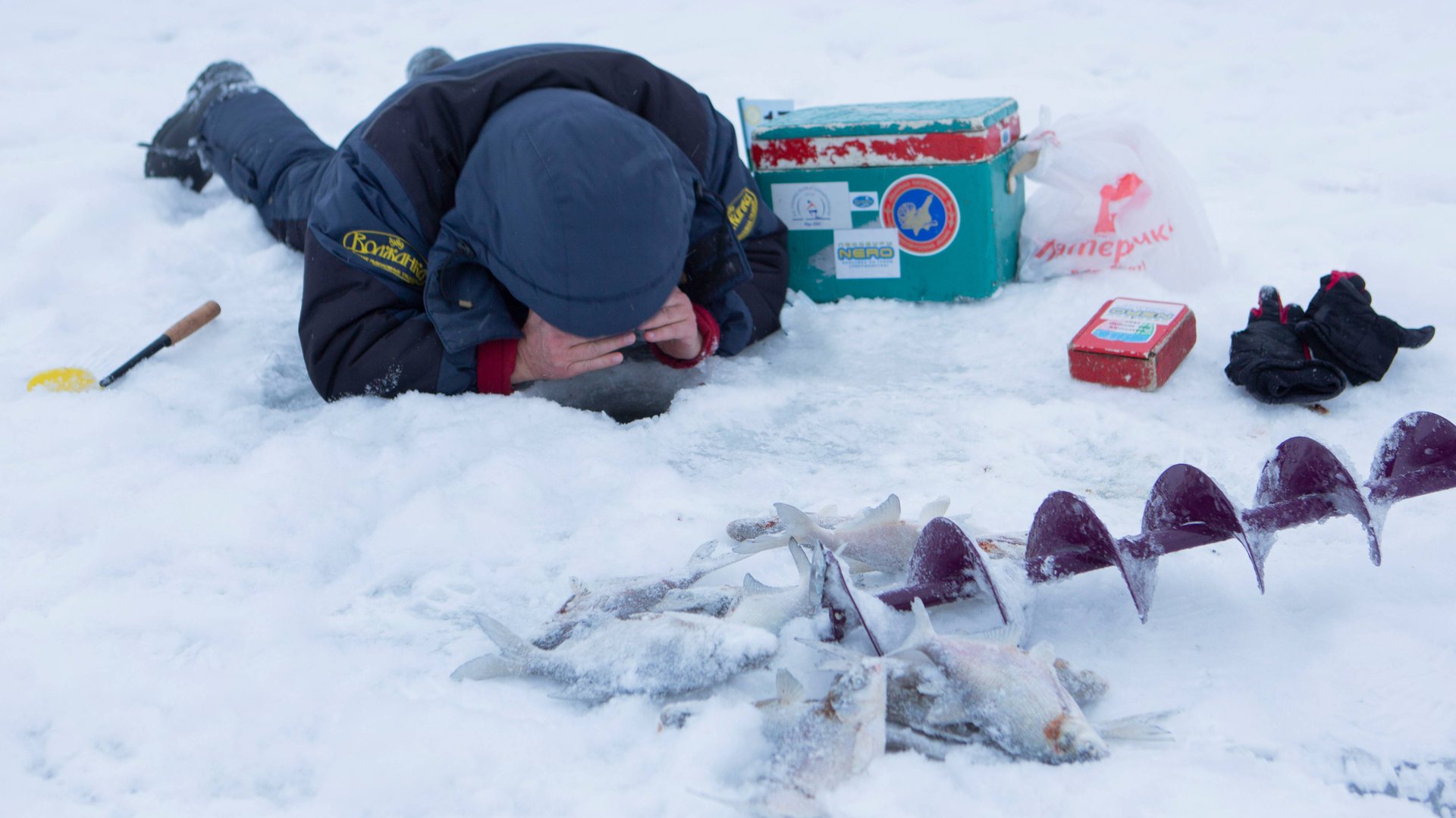 64796438da5d7b0bb0764ace73acb57d